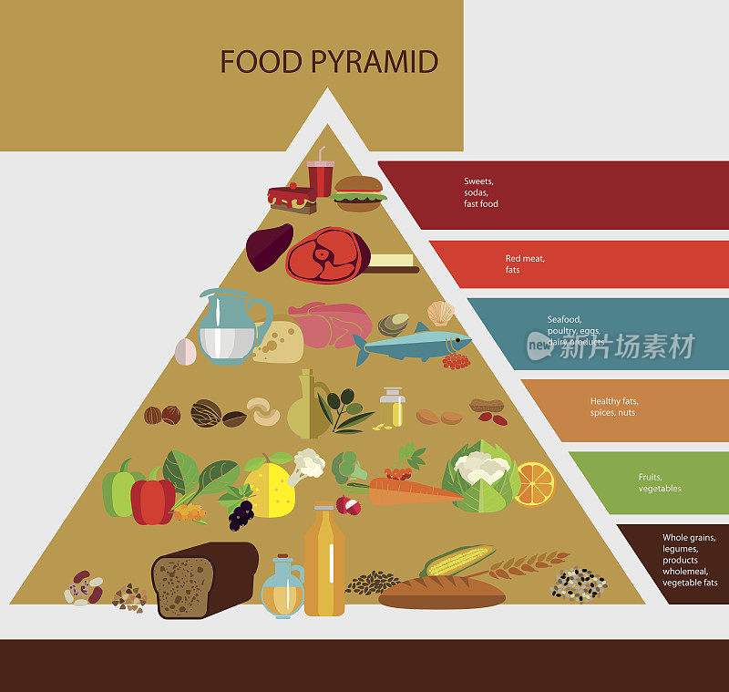 食物金字塔。