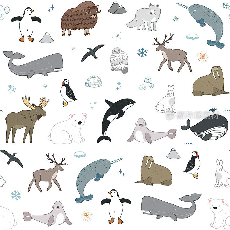 极地和南极的卡通动物图案无缝涂鸦