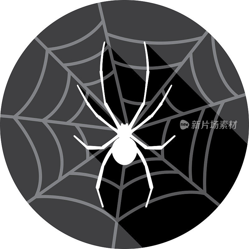 蜘蛛与网络图标剪影