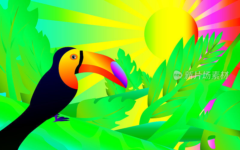 多色彩虹的丛林插图-巨嘴鸟在丛林。