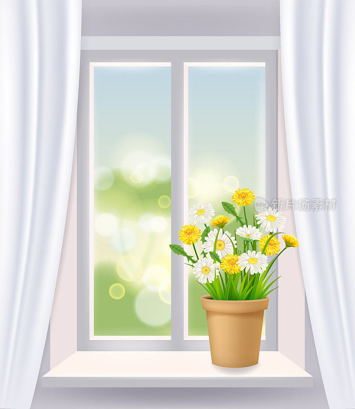 室内的窗景，春天，花盆的花雏菊和蒲公英在窗台上，窗帘。矢量插图现实