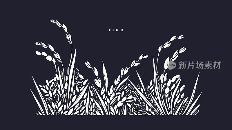 大米飞溅。晶粒边界。向量稻田