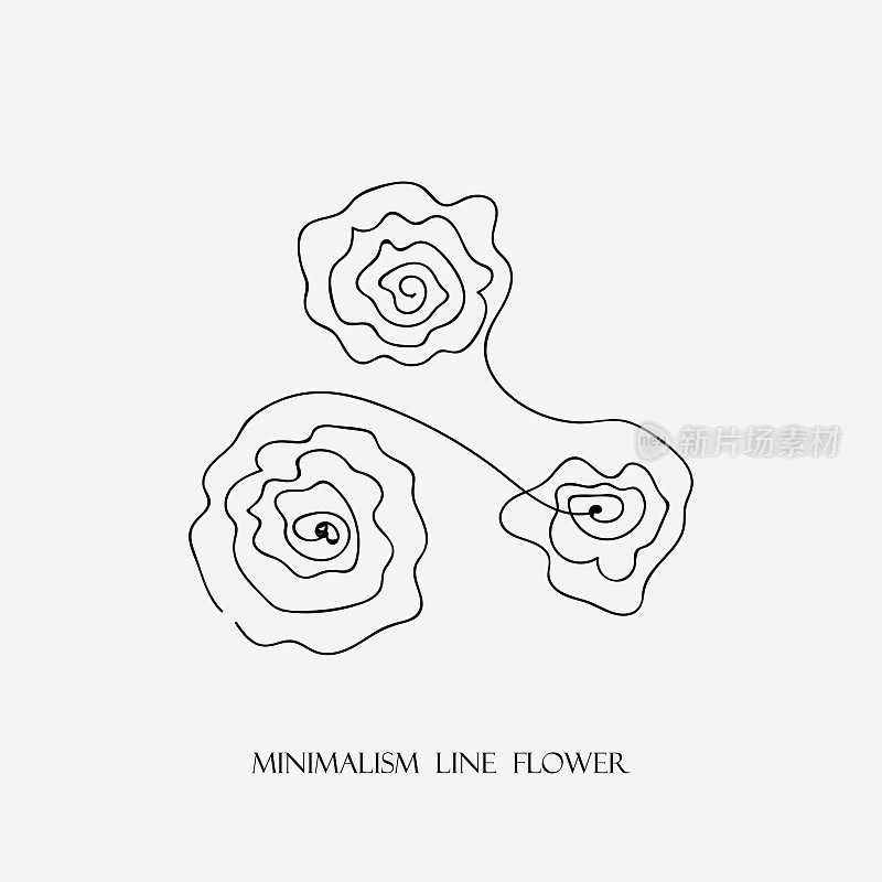 矢量插图抽象手工极简主义3玫瑰花孤立在白色背景，连续线艺术手绘