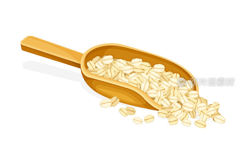 燕麦片作为全谷物食品与卷燕麦在木勺矢量插图