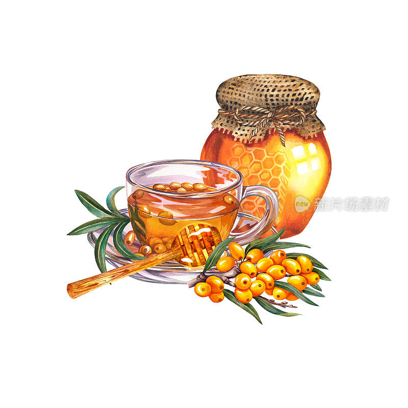 一杯沙棘加蜂蜜的茶。对感冒有用的维生素饮料。水彩插图。隔离。设计