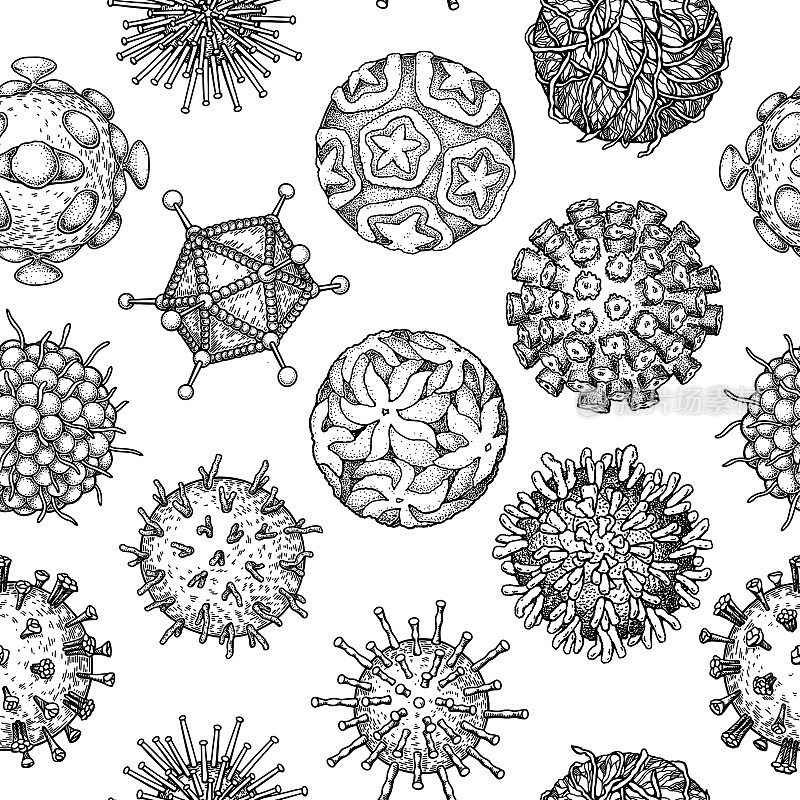 病毒无缝模式。科学手绘矢量插图素描风格。显微镜下的微生物