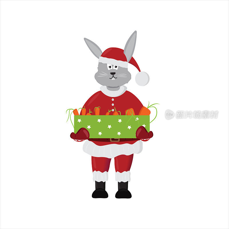 圣诞兔子打扮成圣诞老人，白色背景上有一盒礼物