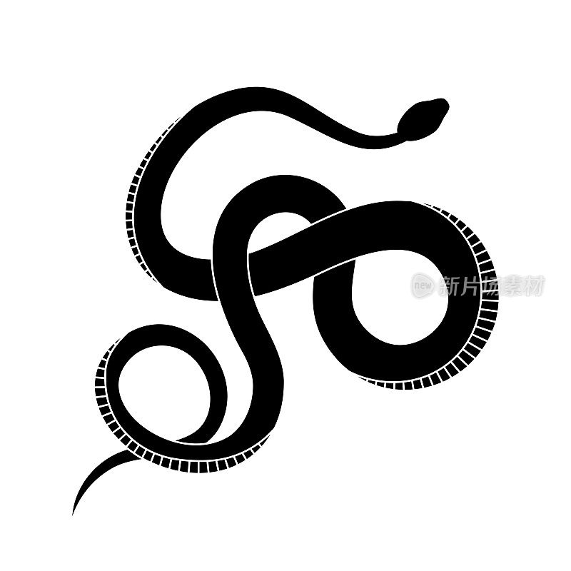 黑色剪影蛇。孤立的爬行动物符号，白色背景上的野生动物图标蛇。自然矢量插图。