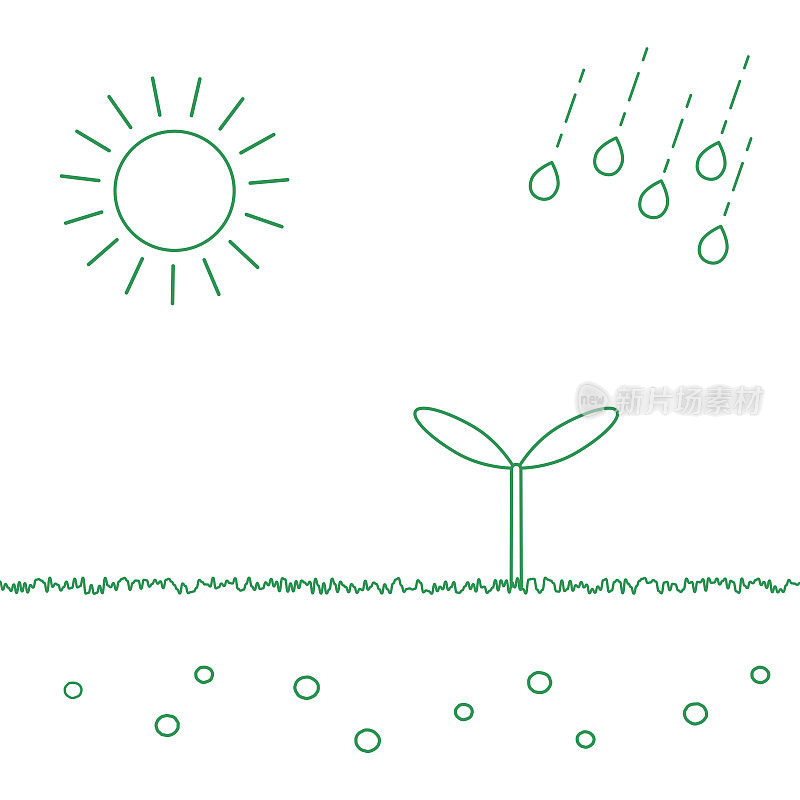 新芽，阳光和雨水，简单的线条，可持续发展