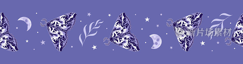 飞蛾，月相星辰，草药。无缝边界，矢量插图在紫色调。万圣节，魔法，巫术，占星术，神秘主义。用于墙纸，织物，包装，背景。
