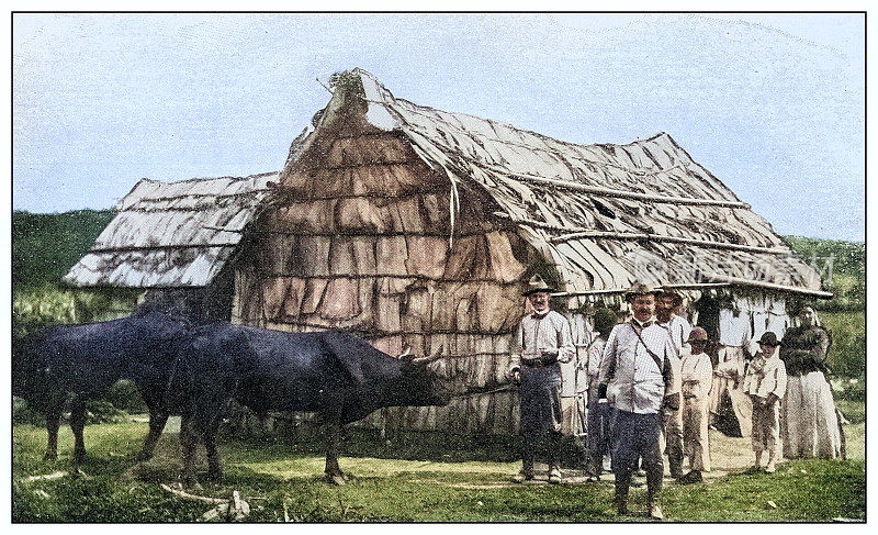 古色古香的黑白照片:用棕榈叶做成的小屋，古巴