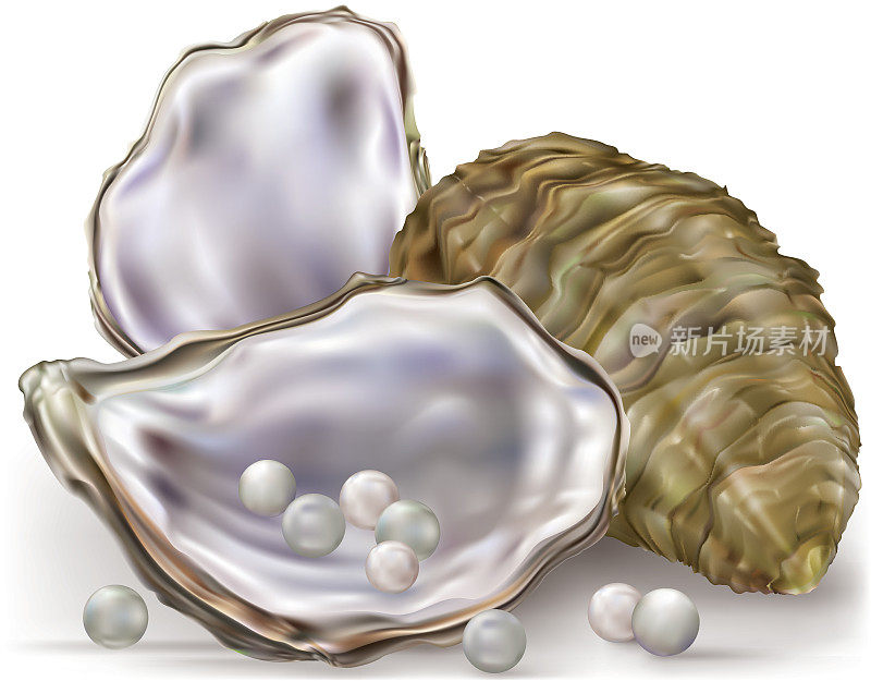 牡蛎壳珍珠