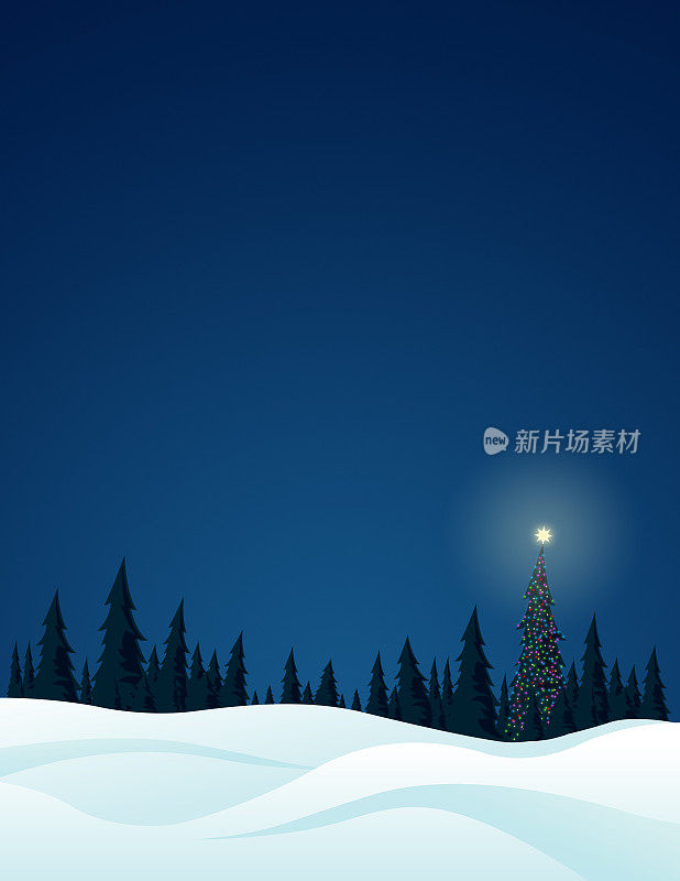 夜雪的景象与圣诞树在树林里