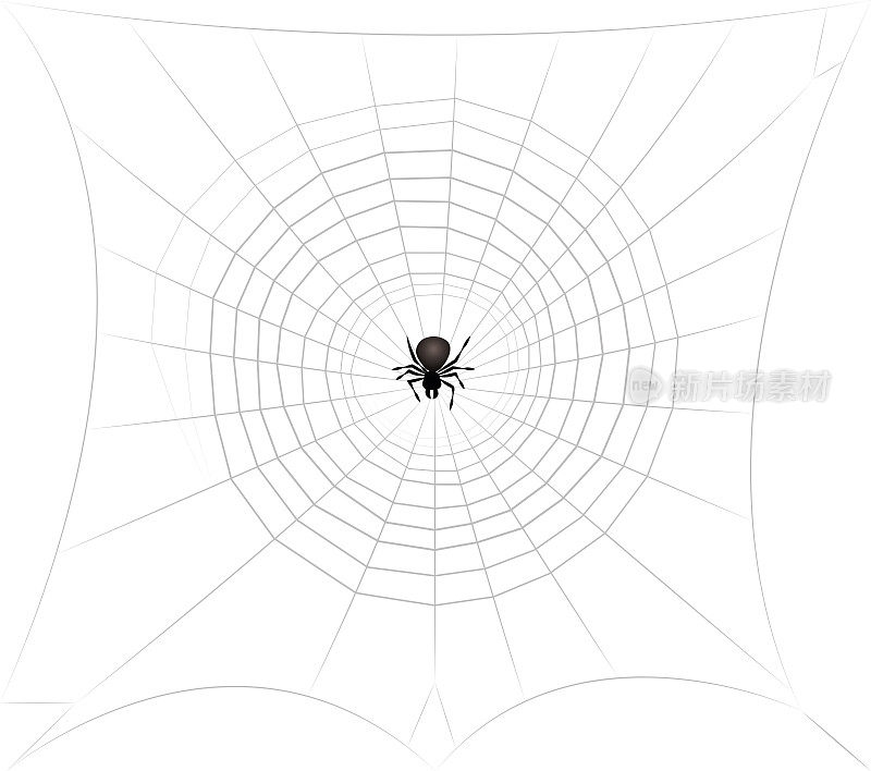 蜘蛛在蛛网里潜伏着寻找猎物。孤立的矢量漫画插图在白色的背景。