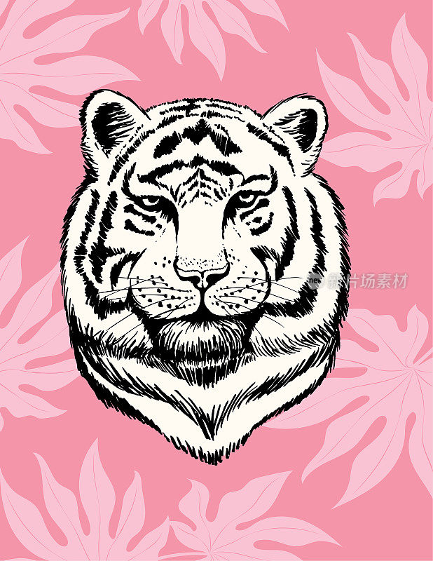 粉红色的老虎和热带树叶在彩色的背景