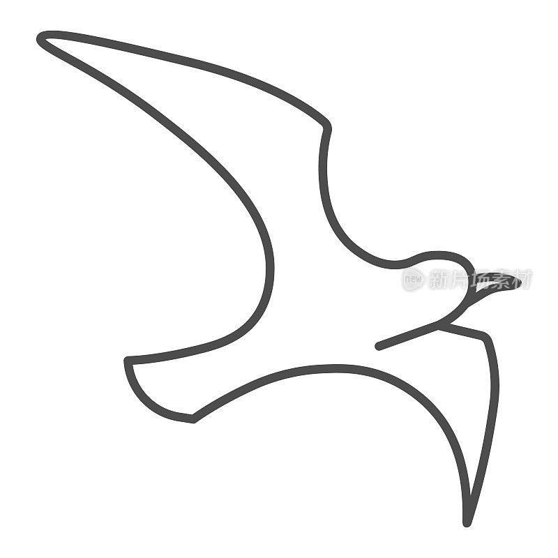 海鸥细线图标，海洋概念，海鸥标志在白色的背景，飞鸟剪影图标在轮廓风格的移动概念和网页设计。矢量图形。