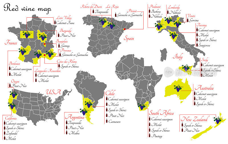 红酒的地图。葡萄酒生产地图显示葡萄品种。用于生产葡萄酒的葡萄种植区。