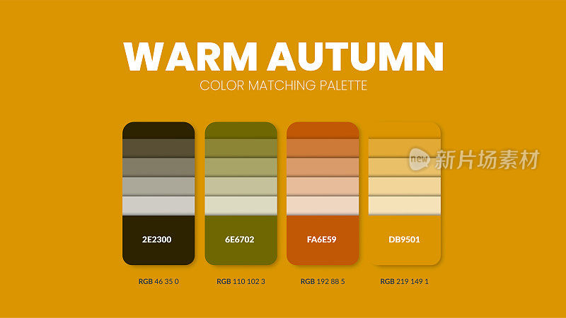 暖秋色彩指南书卡片样本。颜色主题调色板或配色方案集合。颜色组合在RGB或十六进制。一套趋势颜色样本目录灵感的时装或设计。