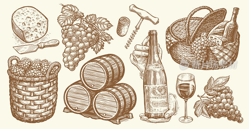 葡萄园概念复古集。葡萄酒，葡萄，酒桶，开瓶器，葡萄串，奶酪。酒厂草图矢量