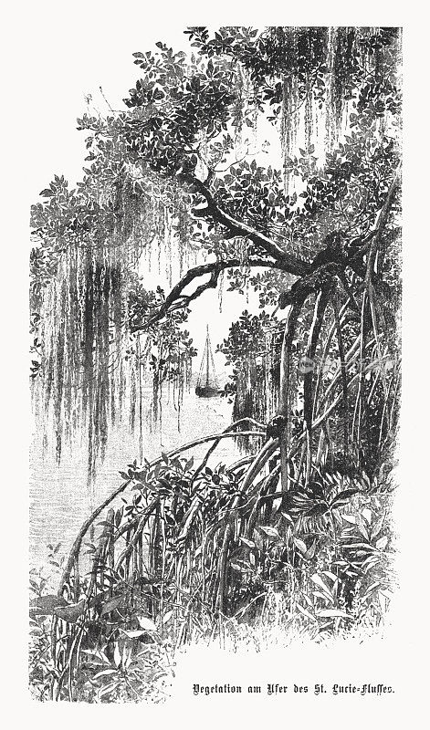 美国佛罗里达州圣露西河，半色调印刷，1899年出版