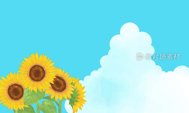 夏天蓝天白云和向日葵背景插图材料
