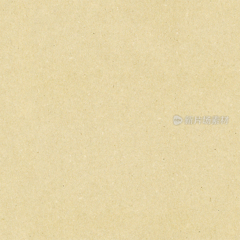 无缝浅米色纸纹理背景-沙质颗粒状平面模板矢量-原始自然压缩卡与可见的污垢-基本办公用品-生殖背景