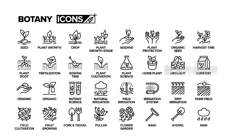 植物学线图标集。采购产品种植，农业，耕作，种子，栽培，收获。