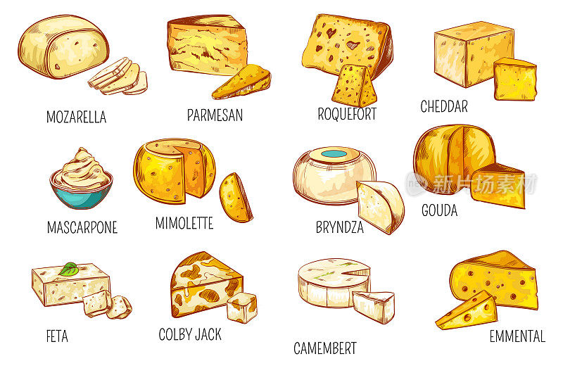 奶酪类型素描，乳制品图标