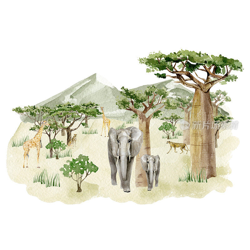 水彩草原野生动物插图。非洲的景观由树木、大象、长颈鹿、豹子和绿色的山组成。墙艺术打印。幼儿园的宝宝装饰