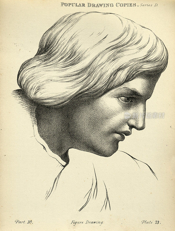 素描人脸，年轻人，蓬松的发型，19世纪维多利亚艺术人物的复制