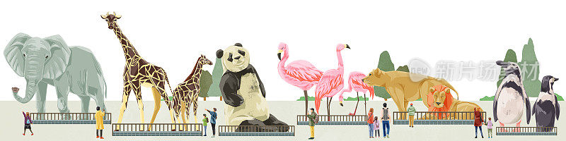 手绘水彩风格的动物园动物插图框架