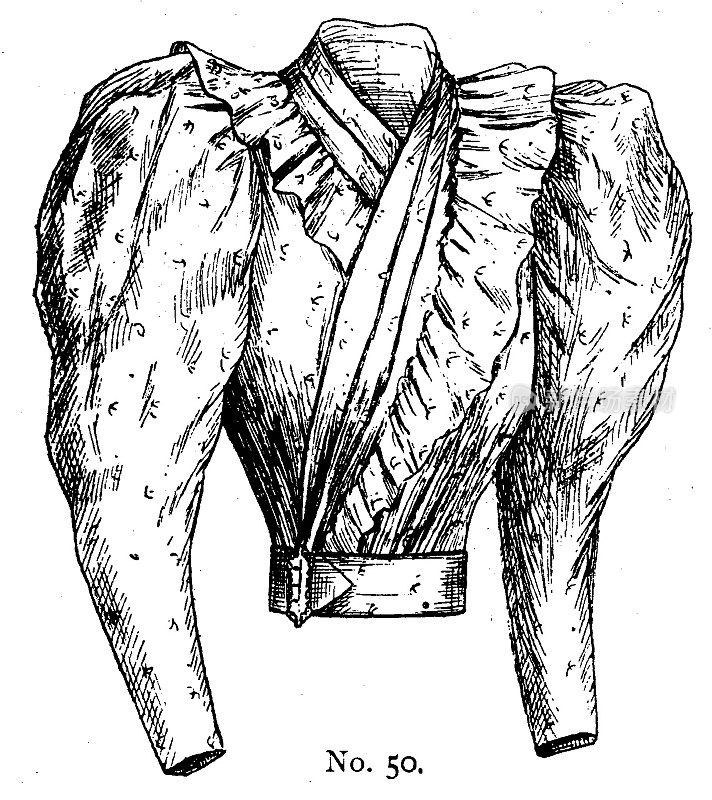 19世纪女士们的褶边、高领羊腿袖上衣是时尚餐盘;维多利亚时代的服装和最新时装1893年