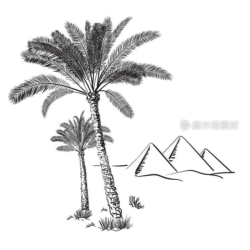 沙漠中的棕榈树和埃及金字塔_手绘矢量图