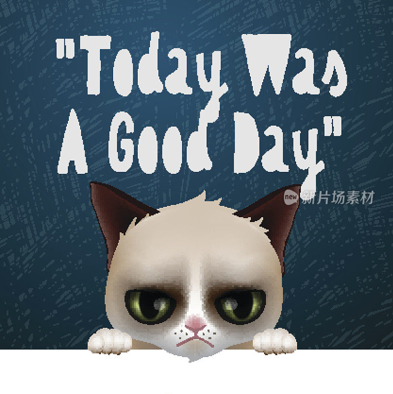 今天是美好的一天，可爱的不爽猫卡