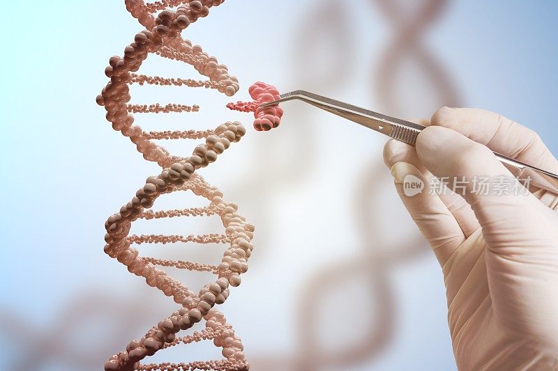 基因工程和基因操作概念。Hand正在替换一部分DNA分子。