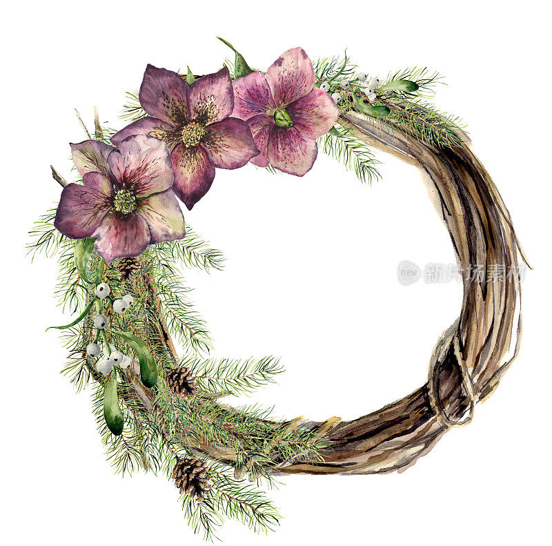水彩圣诞花环与嚏根草花。新年树和木树枝花环与槲寄生和圣诞玫瑰的设计，打印或背景