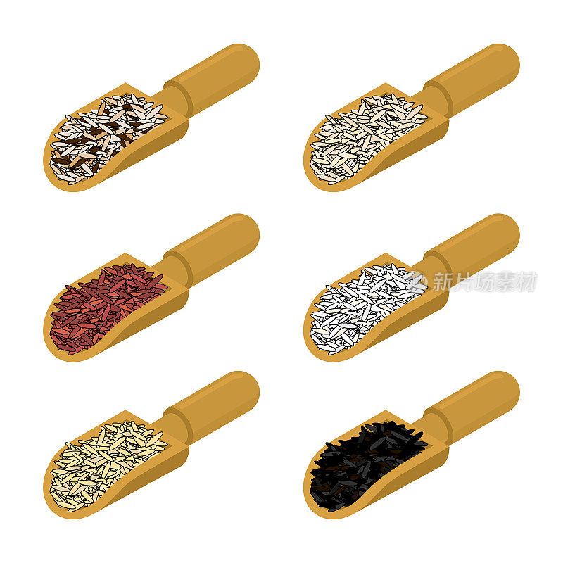 木勺装大米。速煮和棕色。黑色和红色。印度香米和菰米。木铲的格栅。白色背景上的纹理。矢量图