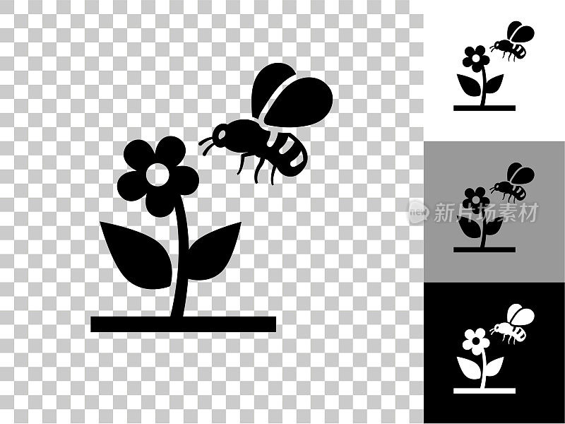 蜜蜂在花图标在棋盘上透明的背景