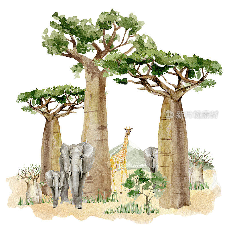 水彩草原野生动物插图。非洲的景观由树木、大象、长颈鹿和绿色的山组成。孩子们的墙上艺术版画。幼儿园的宝宝装饰
