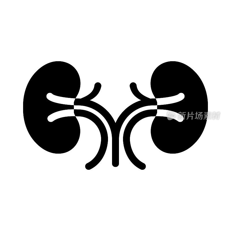 肾脏学图标,矢量符号插图。