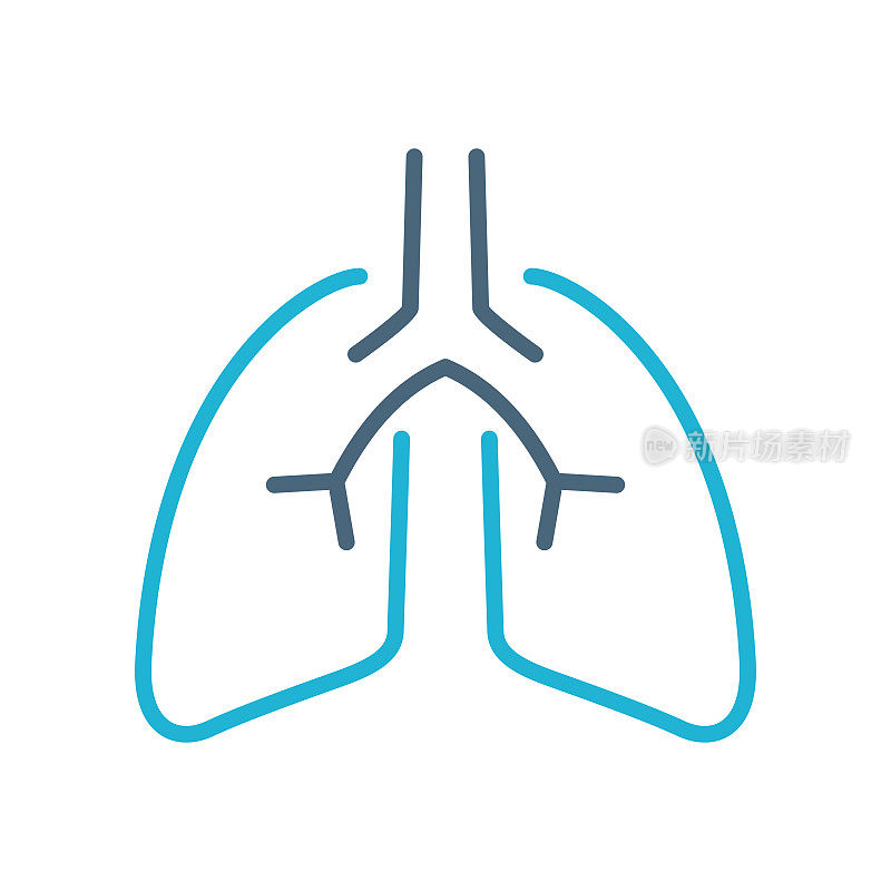 肺。人体器官解剖线图标。向量股票插图
