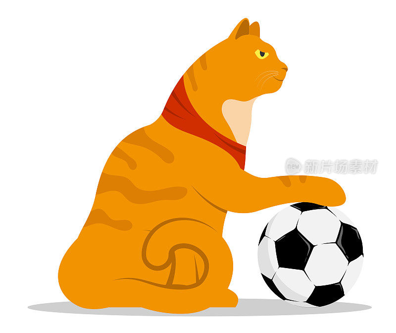 强壮、自信的流浪猫把爪子放在一个运动足球上。挑战对手。卡通红色虎斑猫孤立在白色背景上