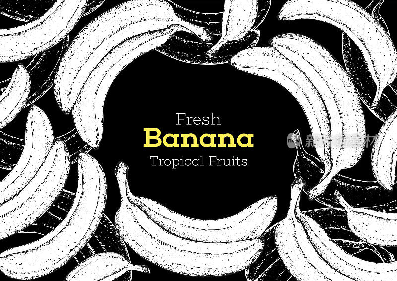 香蕉水果手绘画框。素描风格。矢量插图。设计、包装、宣传册插图。手绘香蕉水果设计模板。有机新鲜食品载体插图。