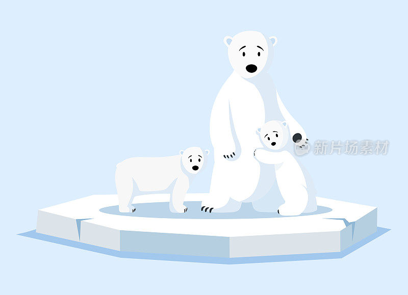 北极熊一家漂浮在破碎的浮冰上。南极洲的野生动物
