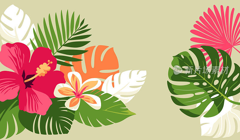 热带花卉和树叶背景