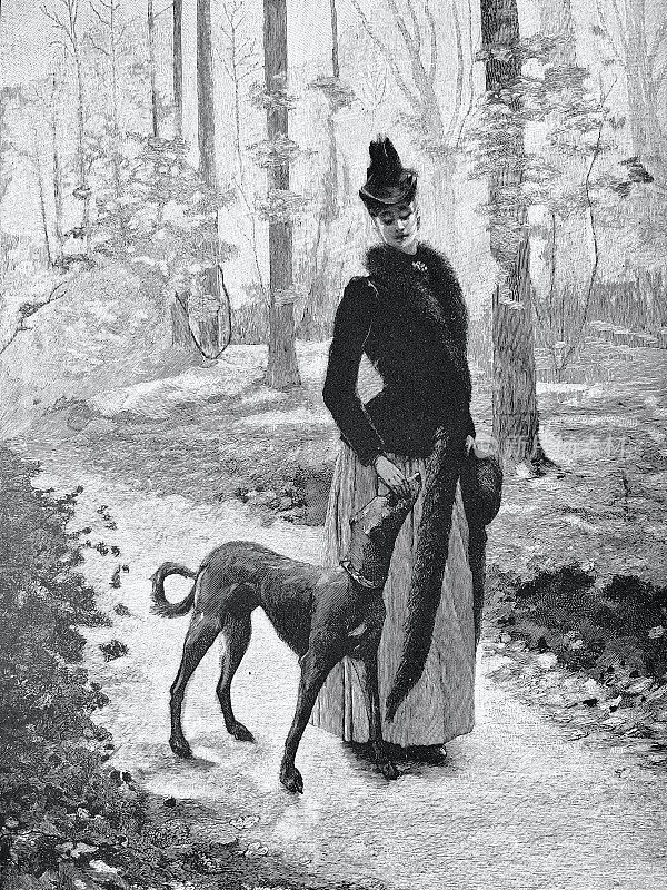 年轻优雅的女人戴着帽子和狗，在森林里