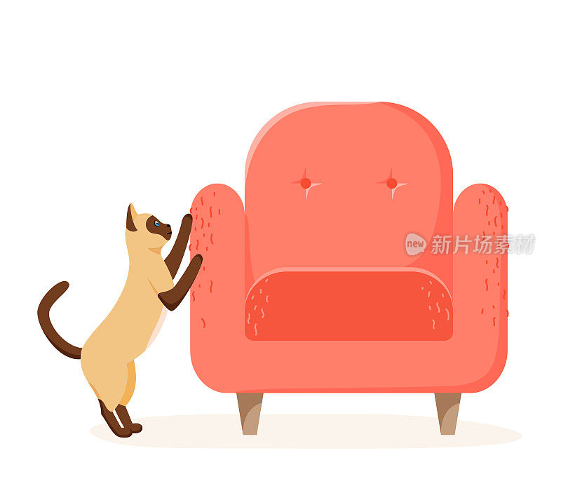 暹罗猫抓椅子。肮脏的小猫用爪子破坏家具。不乖的宠物撕扯沙发。平风格向量