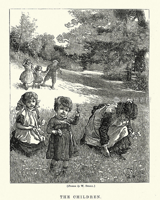 孩子们在草地上摘花玩耍，维多利亚时代，19世纪70年代