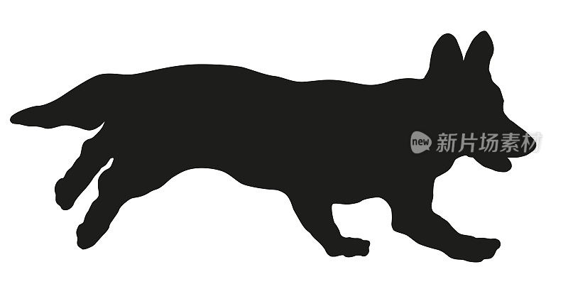 黑狗轮廓。奔跑的彭布罗克威尔士柯基犬。宠物的动物。孤立在白色背景上。