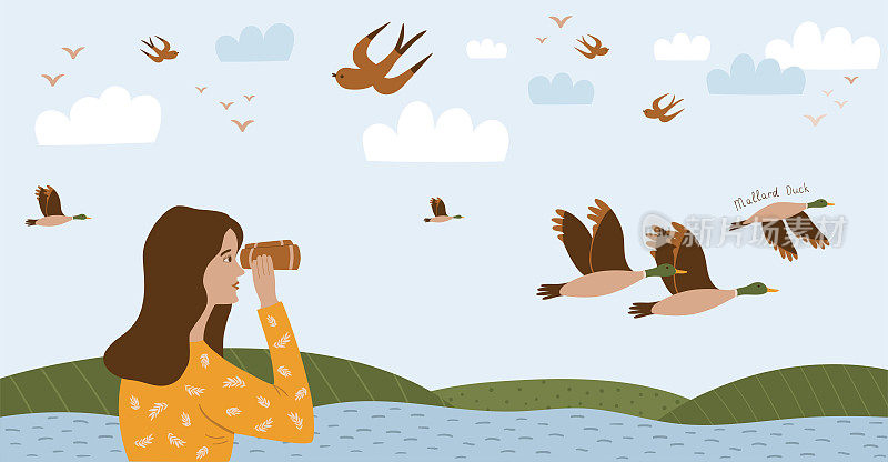 观鸟的海报,观鸟。鸟类学水平横幅模板。女孩用望远镜看，女人看鸟，看飞的鸭子。生态旅游，观鸟。卡通矢量图